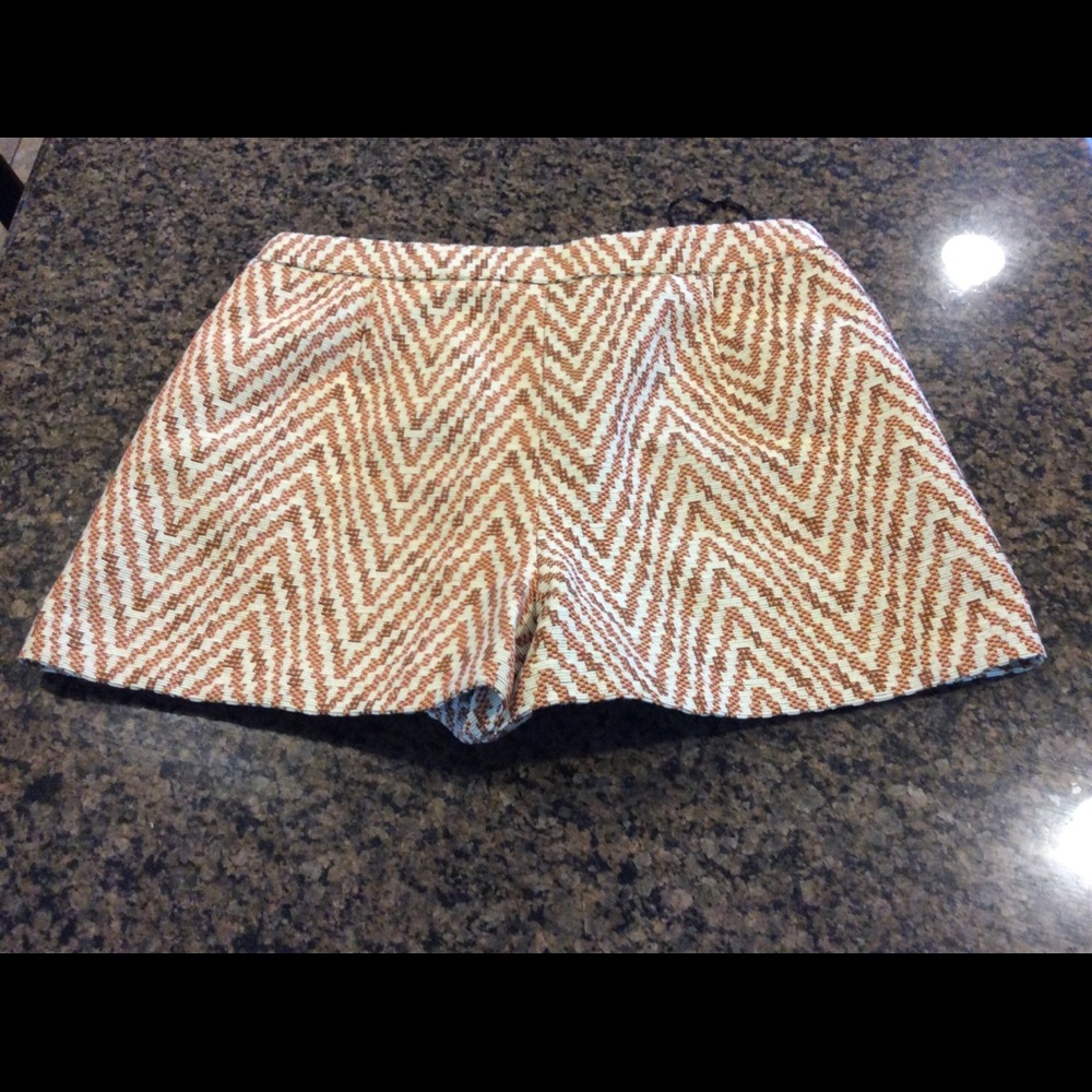New Zara Fancy Short Shorts